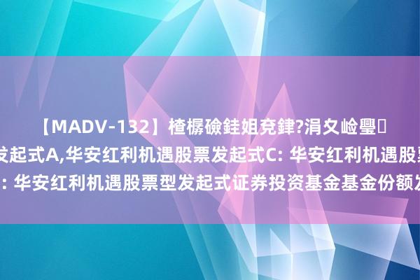 【MADV-132】楂樼礆銈姐兗銉?涓夊崄璺法 华安红利机遇股票发起式A,华安红利机遇股票发起式C: 华安红利机遇股票型发起式证券投资基金基金份额发售公告