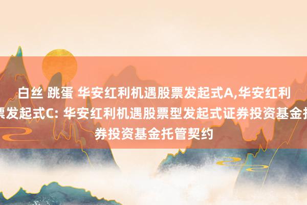 白丝 跳蛋 华安红利机遇股票发起式A,华安红利机遇股票发起式C: 华安红利机遇股票型发起式证券投资基金托管契约