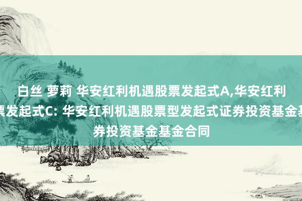 白丝 萝莉 华安红利机遇股票发起式A,华安红利机遇股票发起式C: 华安红利机遇股票型发起式证券投资基金基金合同