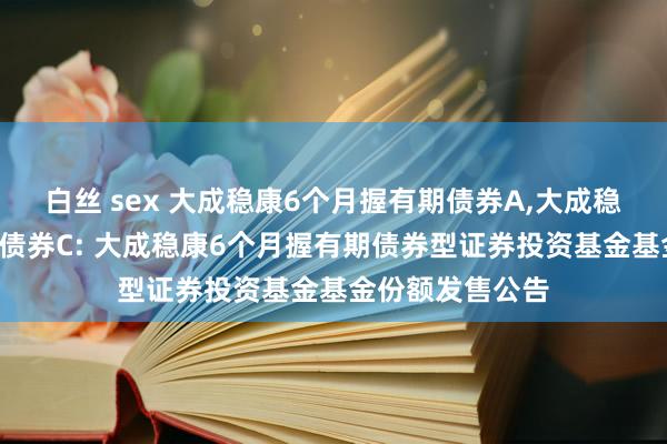 白丝 sex 大成稳康6个月握有期债券A,大成稳康6个月握有期债券C: 大成稳康6个月握有期债券型证券投资基金基金份额发售公告