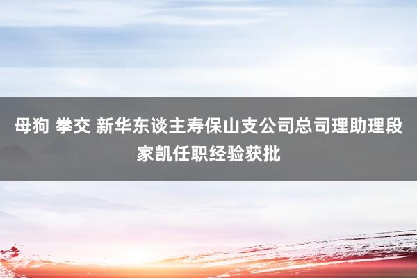 母狗 拳交 新华东谈主寿保山支公司总司理助理段家凯任职经验获批