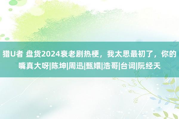 猎U者 盘货2024衰老剧热梗，我太思最初了，你的嘴真大呀|陈坤|周迅|甄嬛|浩哥|台词|阮经天