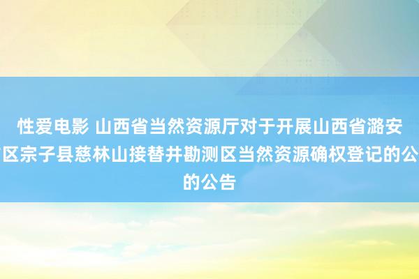 性爱电影 山西省当然资源厅对于开展山西省潞安矿区宗子县慈林山接替井勘测区当然资源确权登记的公告