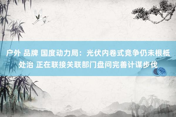 户外 品牌 国度动力局：光伏内卷式竞争仍未根柢处治 正在联接关联部门盘问完善计谋步伐