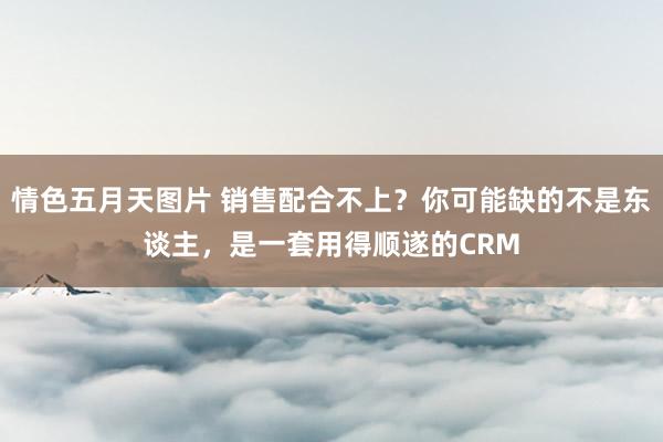 情色五月天图片 销售配合不上？你可能缺的不是东谈主，是一套用得顺遂的CRM