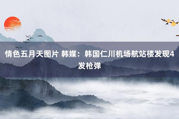 情色五月天图片 韩媒:韩国仁川机场航站楼发现4发枪弹