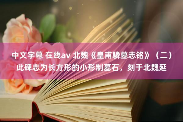 中文字幕 在线av 北魏《皇甫驎墓志铭》(二)此碑志为长方形的小形制墓石,刻于北魏延
