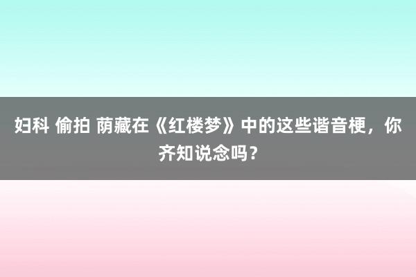 妇科 偷拍 荫藏在《红楼梦》中的这些谐音梗，你齐知说念吗？
