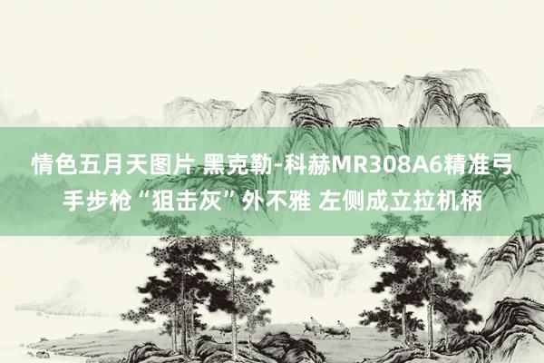 情色五月天图片 黑克勒-科赫MR308A6精准弓手步枪“狙击灰”外不雅 左侧成立拉机柄