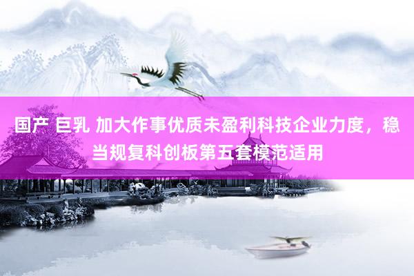 国产 巨乳 加大作事优质未盈利科技企业力度，稳当规复科创板第五套模范适用
